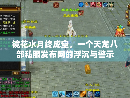 镜花水月终成空，一个天龙八部私服发布网的浮沉与警示