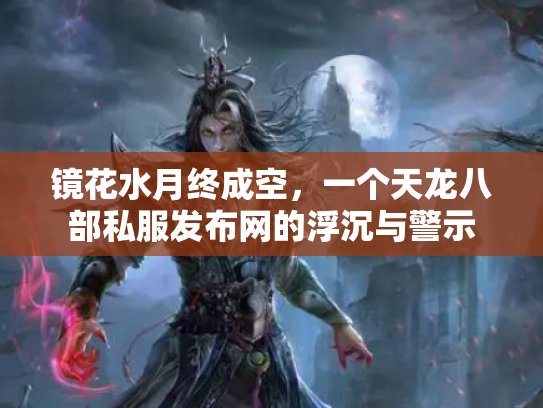 镜花水月终成空，一个天龙八部私服发布网的浮沉与警示