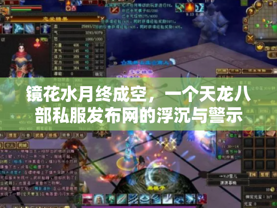 镜花水月终成空，一个天龙八部私服发布网的浮沉与警示