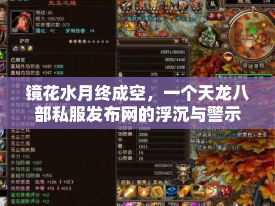 镜花水月终成空，一个天龙八部私服发布网的浮沉与警示