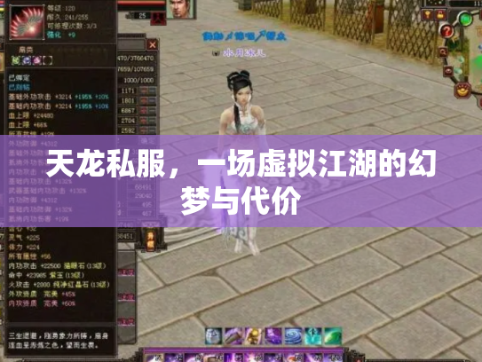 天龙私服，一场虚拟江湖的幻梦与代价