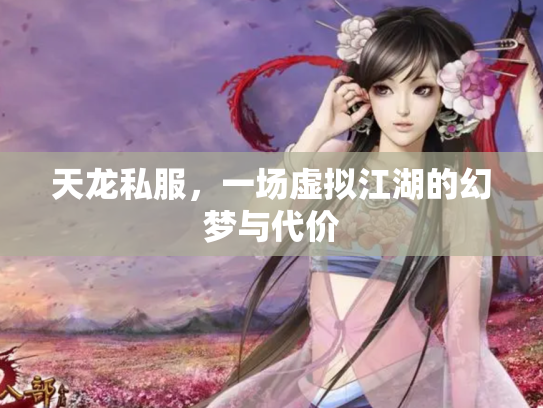天龙私服，一场虚拟江湖的幻梦与代价