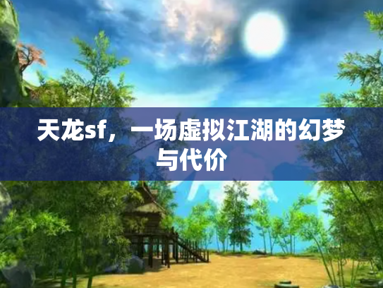 天龙sf，一场虚拟江湖的幻梦与代价