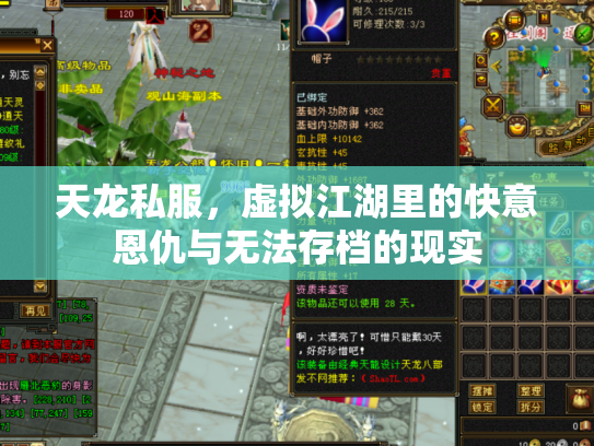 天龙私服，虚拟江湖里的快意恩仇与无法存档的现实