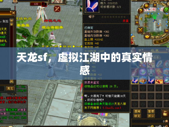 天龙sf，虚拟江湖中的真实情感