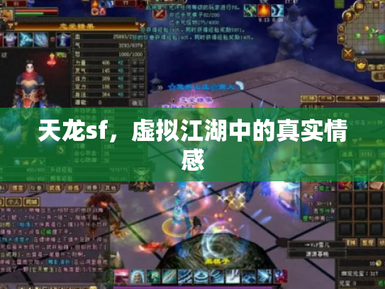天龙sf，虚拟江湖中的真实情感