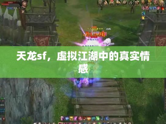 天龙sf，虚拟江湖中的真实情感
