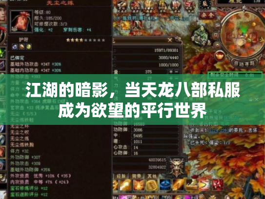 江湖的暗影，当天龙八部私服成为欲望的平行世界