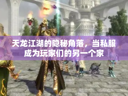 天龙江湖的隐秘角落，当私服成为玩家们的另一个家