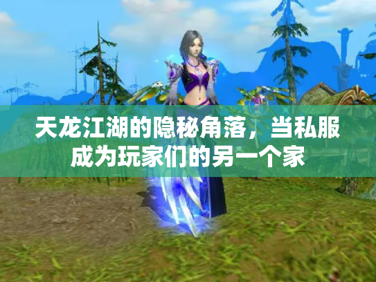 天龙江湖的隐秘角落，当私服成为玩家们的另一个家