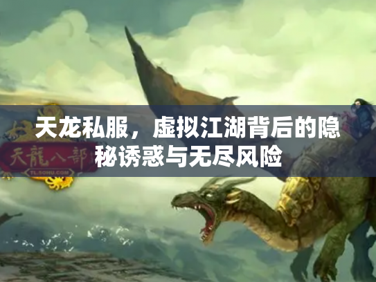 天龙私服，虚拟江湖背后的隐秘诱惑与无尽风险