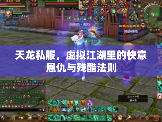 天龙私服，虚拟江湖里的快意恩仇与残酷法则