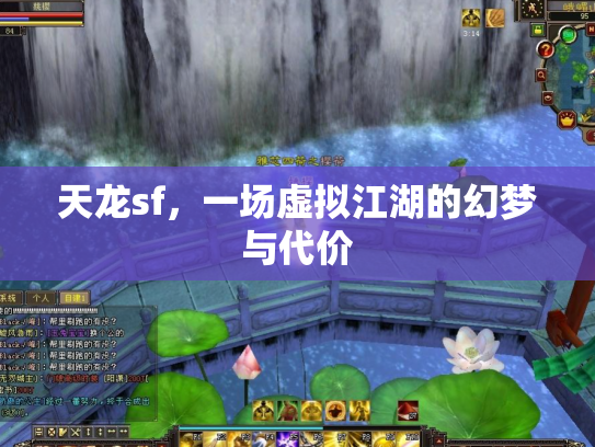 天龙sf，一场虚拟江湖的幻梦与代价