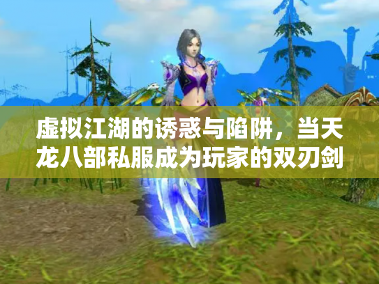 虚拟江湖的诱惑与陷阱，当天龙八部私服成为玩家的双刃剑