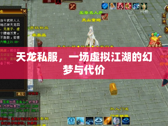 天龙私服，一场虚拟江湖的幻梦与代价