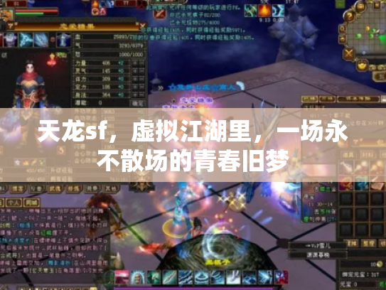 天龙sf，虚拟江湖里，一场永不散场的青春旧梦