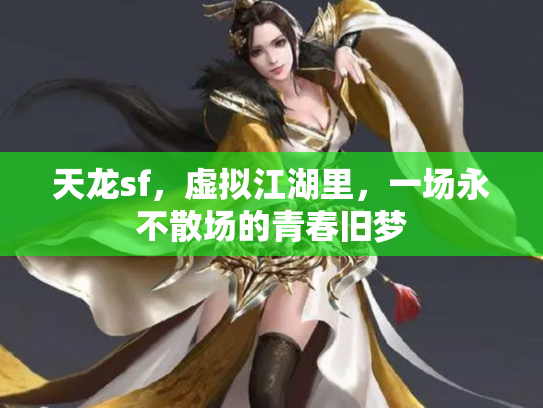 天龙sf，虚拟江湖里，一场永不散场的青春旧梦