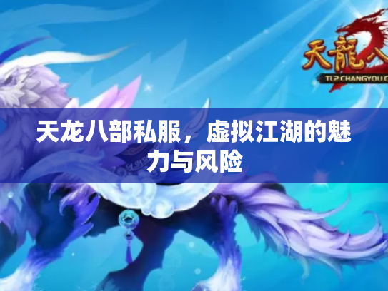 天龙八部私服，虚拟江湖的魅力与风险