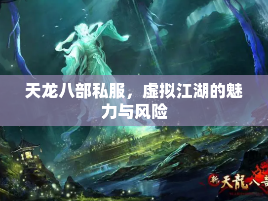 天龙八部私服，虚拟江湖的魅力与风险