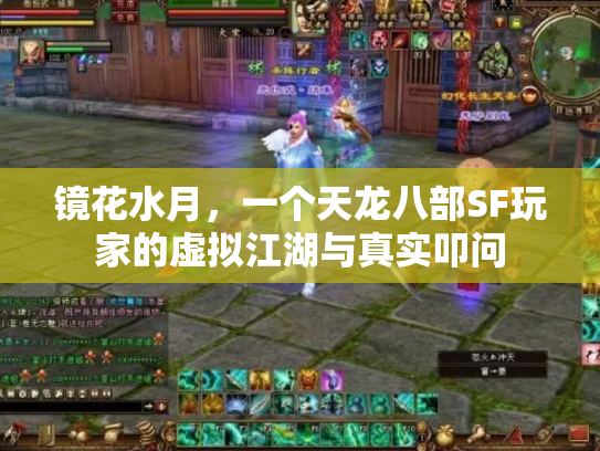镜花水月，一个天龙八部SF玩家的虚拟江湖与真实叩问