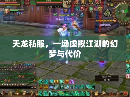 天龙私服，一场虚拟江湖的幻梦与代价