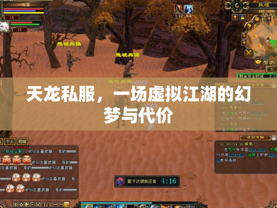 天龙私服，一场虚拟江湖的幻梦与代价