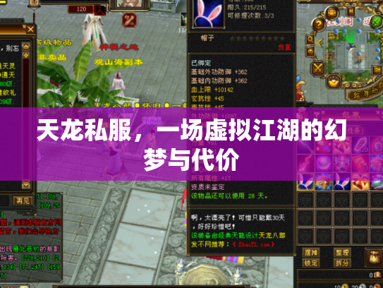 天龙私服，一场虚拟江湖的幻梦与代价