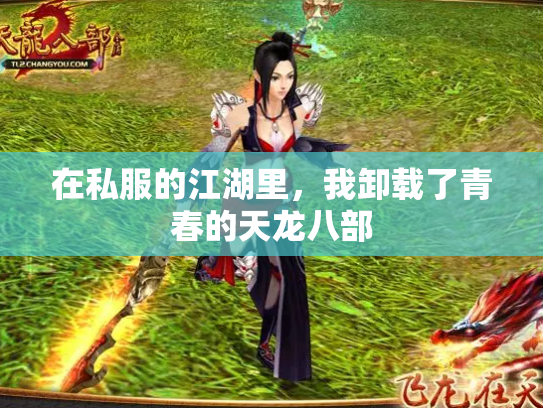 在私服的江湖里，我卸载了青春的天龙八部