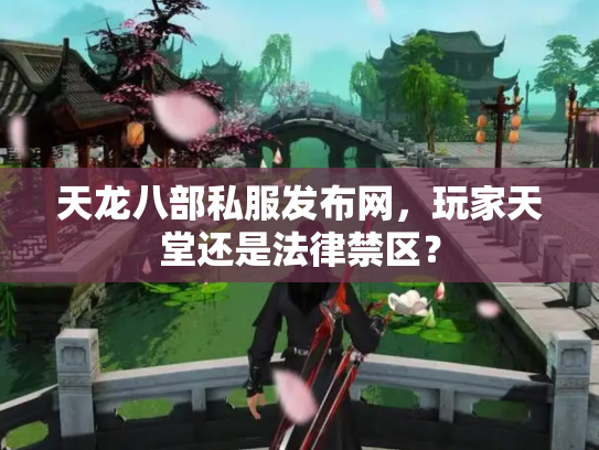 天龙八部私服发布网，玩家天堂还是法律禁区？