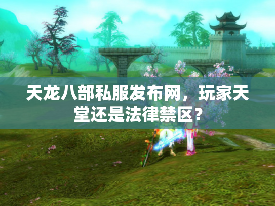 天龙八部私服发布网，玩家天堂还是法律禁区？