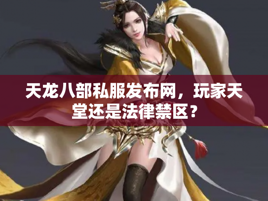 天龙八部私服发布网，玩家天堂还是法律禁区？
