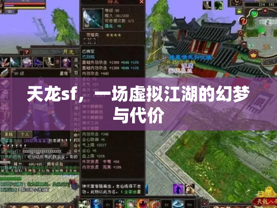 天龙sf，一场虚拟江湖的幻梦与代价