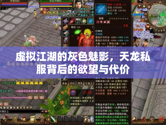 虚拟江湖的灰色魅影，天龙私服背后的欲望与代价