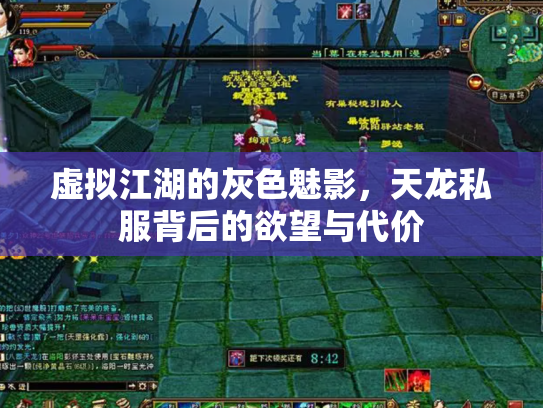 虚拟江湖的灰色魅影，天龙私服背后的欲望与代价