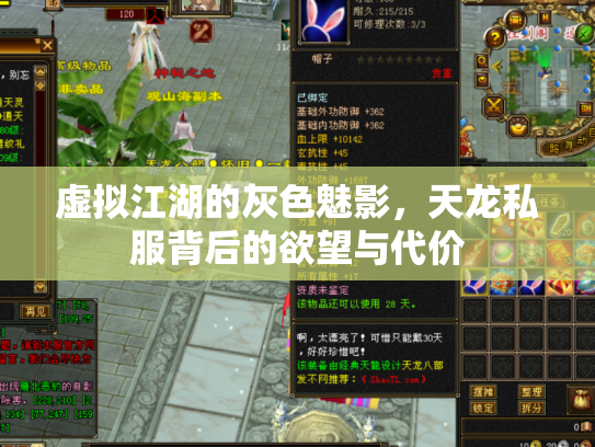 虚拟江湖的灰色魅影，天龙私服背后的欲望与代价
