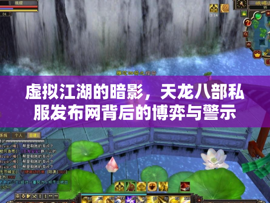虚拟江湖的暗影，天龙八部私服发布网背后的博弈与警示
