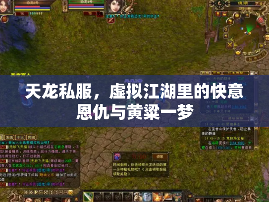 天龙私服，虚拟江湖里的快意恩仇与黄粱一梦