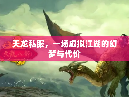 天龙私服，一场虚拟江湖的幻梦与代价