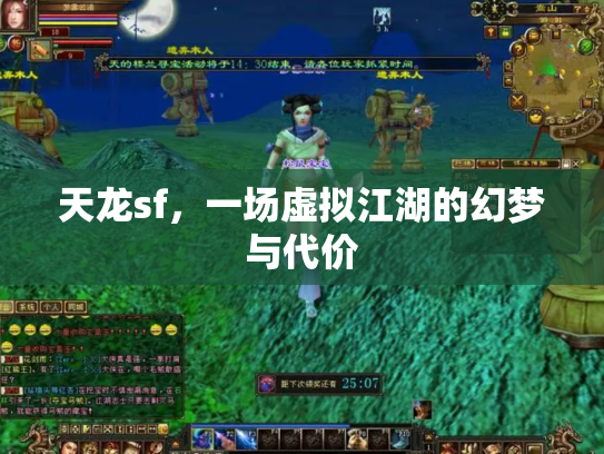 天龙sf，一场虚拟江湖的幻梦与代价