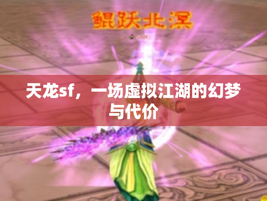 天龙sf，一场虚拟江湖的幻梦与代价