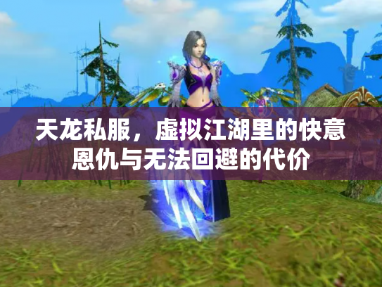 天龙私服，虚拟江湖里的快意恩仇与无法回避的代价
