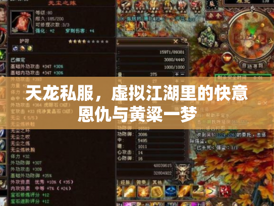 天龙私服，虚拟江湖里的快意恩仇与黄粱一梦