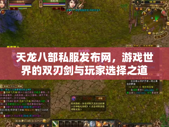 天龙八部私服发布网，游戏世界的双刃剑与玩家选择之道