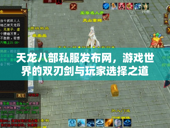 天龙八部私服发布网，游戏世界的双刃剑与玩家选择之道