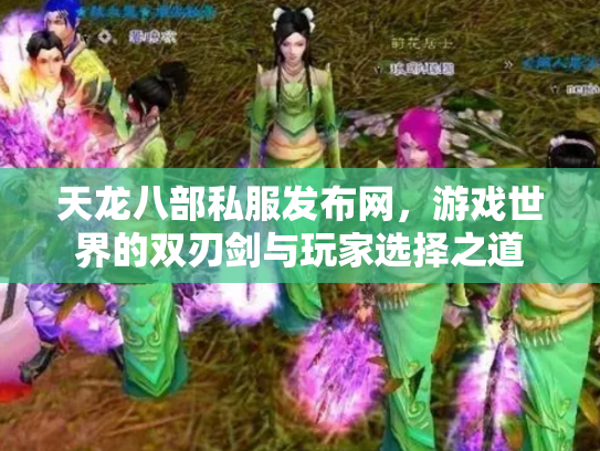 天龙八部私服发布网，游戏世界的双刃剑与玩家选择之道