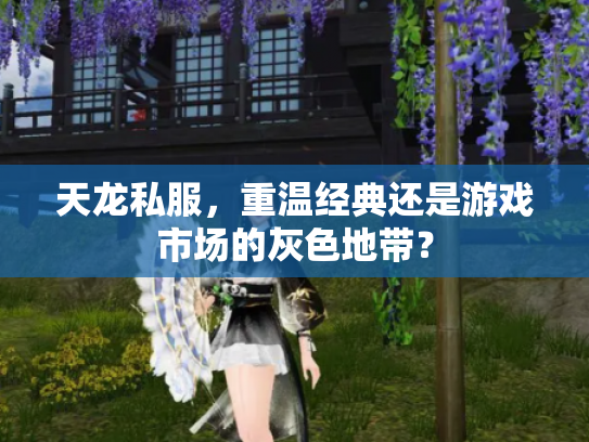 天龙私服，重温经典还是游戏市场的灰色地带？