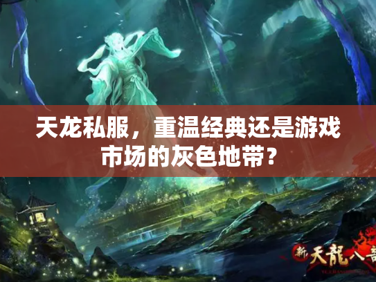 天龙私服，重温经典还是游戏市场的灰色地带？