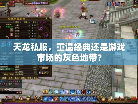 天龙私服，重温经典还是游戏市场的灰色地带？
