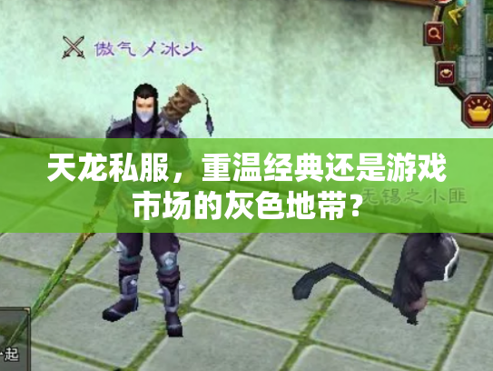 天龙私服，重温经典还是游戏市场的灰色地带？