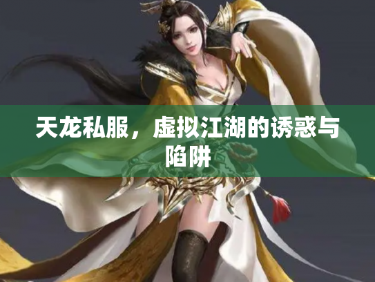 天龙私服，虚拟江湖的诱惑与陷阱